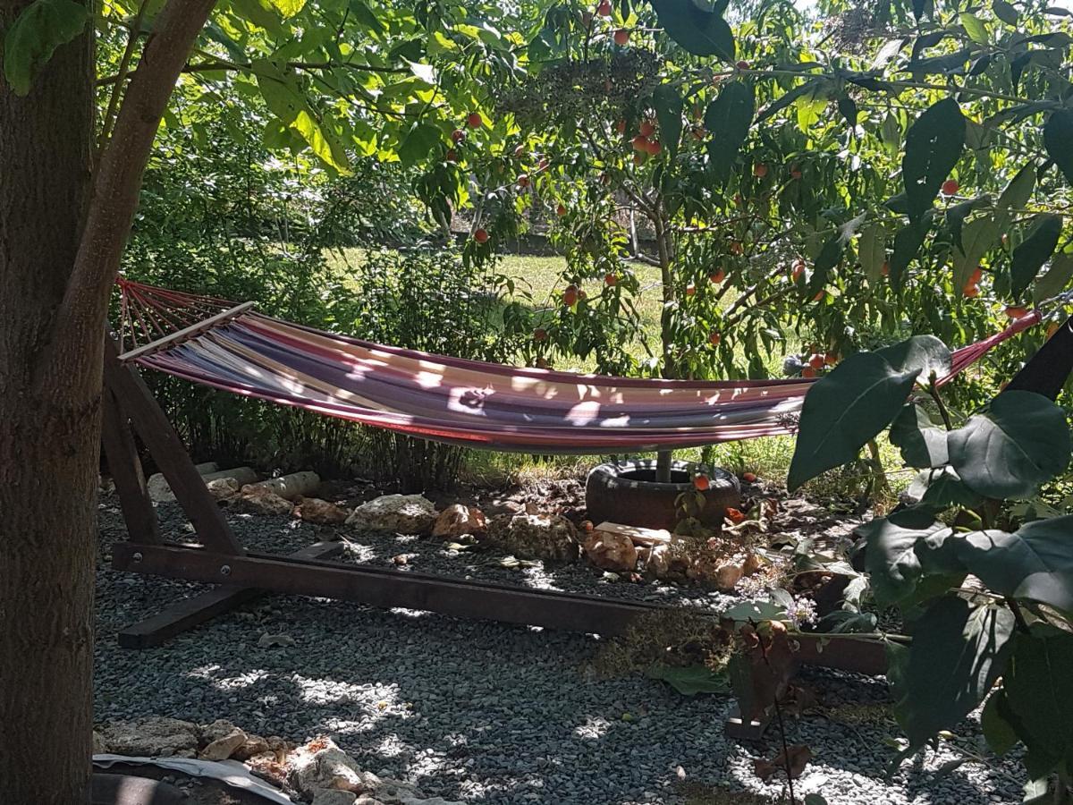 Casa Magnolia Hotel Douăzeci şi Trei August Kültér fotó