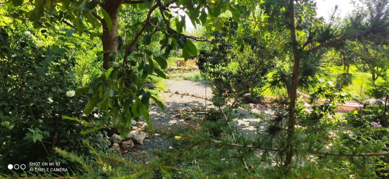 Casa Magnolia Hotel Douăzeci şi Trei August Kültér fotó