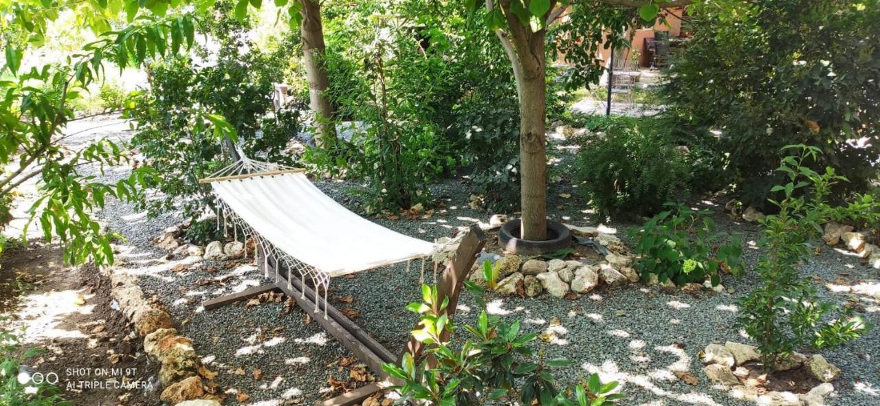 Casa Magnolia Hotel Douăzeci şi Trei August Kültér fotó