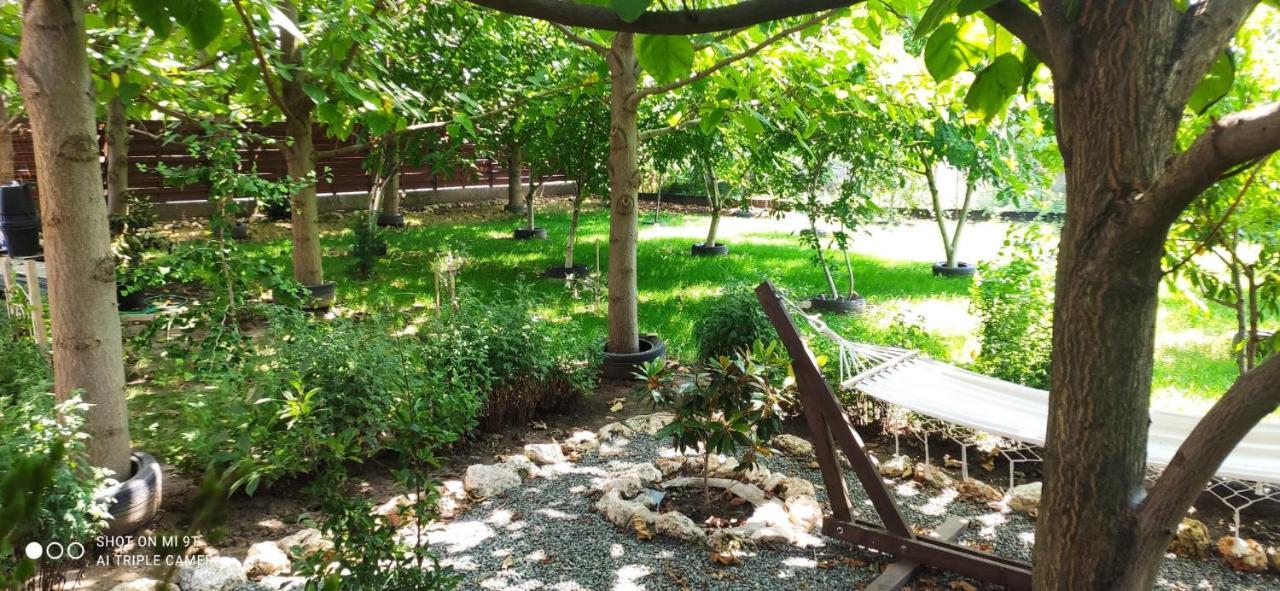 Casa Magnolia Hotel Douăzeci şi Trei August Kültér fotó