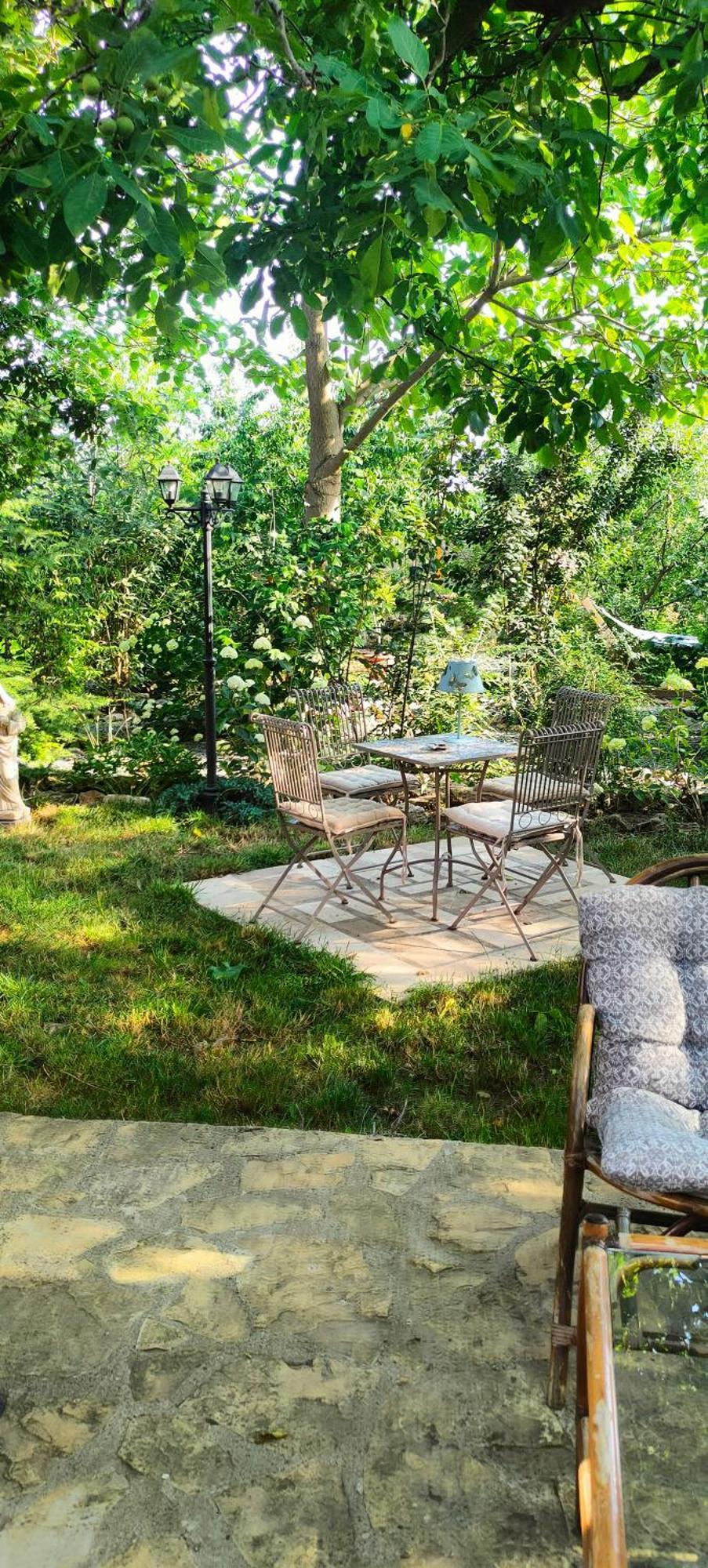 Casa Magnolia Hotel Douăzeci şi Trei August Kültér fotó